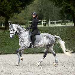 Tapis de selle de dressage Adepto Horze Gris acier Tapis de selle de dressage Adepto Horze Gris acier