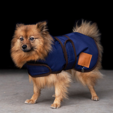 Manteau pour chien HV Polo Puck Manteau pour chien HV Polo Puck