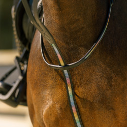 Martingale Imperial Riding Rainbow Noir arc en ciel Martingale Imperial Riding Rainbow Noir arc en ciel