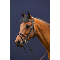 Bridon Neusriem Combiné Working By Dy'on Bruin