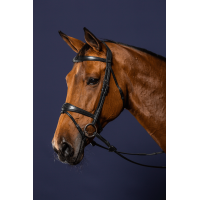 Bridon Mexicaans gecombineerde Dy'on New English Collection Zwart