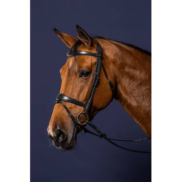Bridon Mexicaans gecombineerde Dy'on New English Collection Zwart