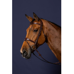 Bridon Muserolle Combinée Anatomique Dy'on Marron