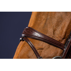 Bridon Muserolle Combinée Anatomique Dy'on Marron