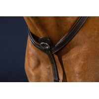 Jachtborsttuig met martingaal van Dy'on Bruin Jachtborsttuig met martingaal van Dy'on Bruin