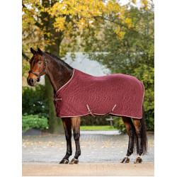 Couverture Polaire Monogramme Arika LeMieux Bordeaux