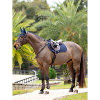 LeMieux Close Contact ProSorb 2-Pocket schokabsorberend zadeldek Zwart LeMieux Close Contact ProSorb 2-Pocket schokabsorberend zadeldek Zwart