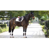 LeMieux Close Contact ProSorb 2-Pocket schokabsorberend zadeldek Zwart