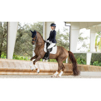 Tapis amortisseur LeMieux dressage square ProSorb 2 Poches Blanc