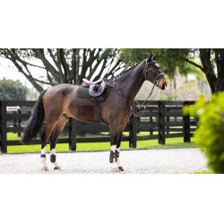 LeMieux schokdempend zadeldek mixte square ProSorb 2 Vakken Zwart