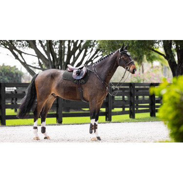 LeMieux schokdempend zadeldek mixte square ProSorb 2 Vakken Zwart