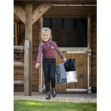 Camion en carton pour jouet poney LeMieux Camion en carton pour jouet poney LeMieux