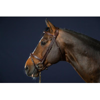 Bridon Sperriem Combinée Dy'on New English Collection Bruin