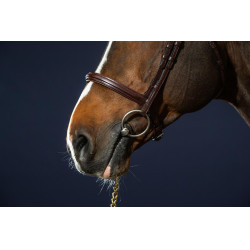 Bridon Sperriem Combinée Dy'on New English Collection Bruin