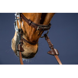 Bridon Sperriem Combinée Dy'on New English Collection Bruin