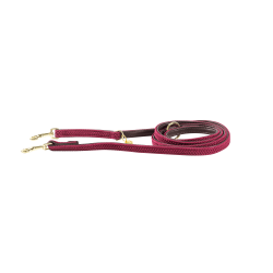 Laisse pour chien Plaited Nylon 200 cm Kentucky Bordeaux