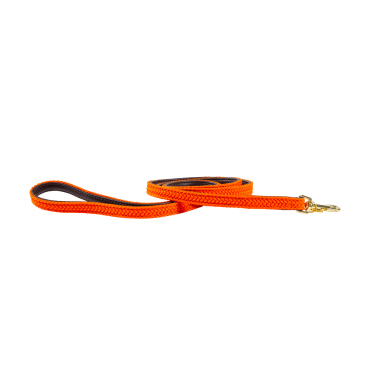 Hondenriem Gevlochten Nylon 120 cm Kentucky Hondenriem Gevlochten Nylon 120 cm Kentucky