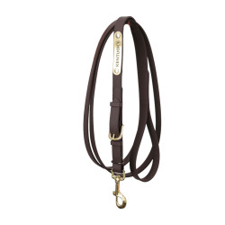 Longe de présentation Kentucky Marron