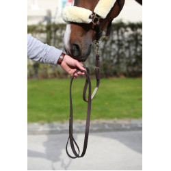 Longe de présentation Kentucky Marron Longe de présentation Kentucky Marron