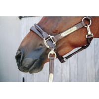 Lijn en presentatieketting van leer Kentucky Bruin Lijn en presentatieketting van leer Kentucky Bruin