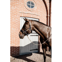 Lange Presentatie in Leer Kentucky Zwart Lange Presentatie in Leer Kentucky Zwart