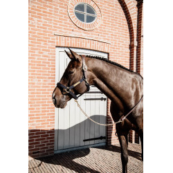 Lange Presentatie in Leer Kentucky Bruin