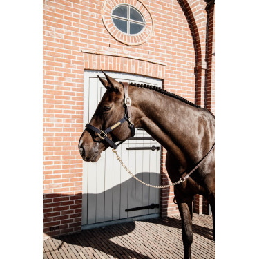 Lange Presentatie in Leer Kentucky Bruin