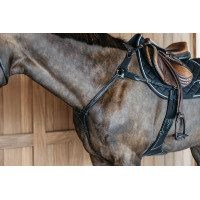 Jachtborsttuig 5 punten met elastieken D Collection Dy'on Zwart