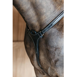 Jachtborsttuig 5 punten met elastieken D Collection Dy'on Zwart Jachtborsttuig 5 punten met elastieken D Collection Dy'on Zwart