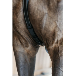 Collier de chasse 5 points avec élastiques D Collection Noir Collier de chasse 5 points avec élastiques D Collection Noir