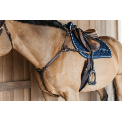 Collier de chasse 5 points avec élastiques D Collection Marron