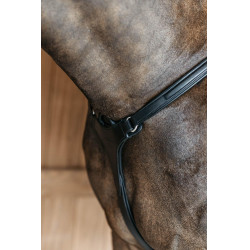 Collier de chasse 5 points avec élastiques New English Collection Noir