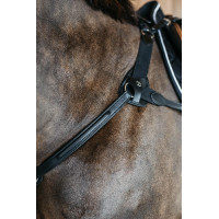 Borsttuig met 5 punten met elastieken New English Collection Dy'on Zwart