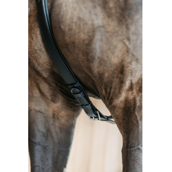 Collier de chasse 5 points avec élastiques New English Collection Noir