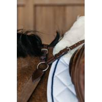 Borsttuig met 5 punten met elastieken New English Collection Dy'on Bruin Borsttuig met 5 punten met elastieken New English Collection Dy'on Bruin