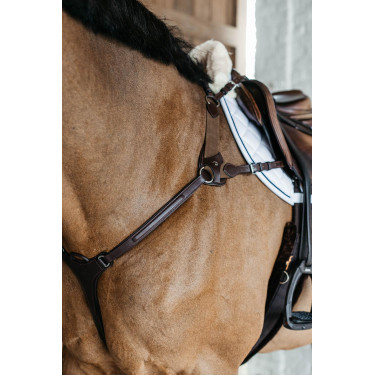 Borsttuig met 5 punten met elastieken New English Collection Dy'on Bruin Borsttuig met 5 punten met elastieken New English Collection Dy'on Bruin