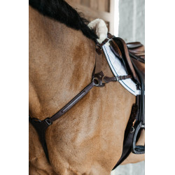 Collier de chasse 5 points avec élastiques New English Collection Marron