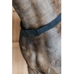 Collier de chasse élastique New English Collection Noir