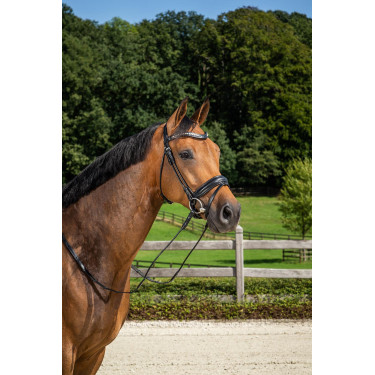 Bridon Muserolle Combinée Moyenne avec Pull-Back Dressage Cuir Rond Dy'on Bridon Muserolle Combinée Moyenne avec Pull-Back Dressage Cuir Rond Dy'on
