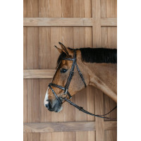 Bridon Muserolle Combinée avec Montants à Mousquetons Working by Dy'on Noir Bridon Muserolle Combinée avec Montants à Mousquetons Working by Dy'on Noir