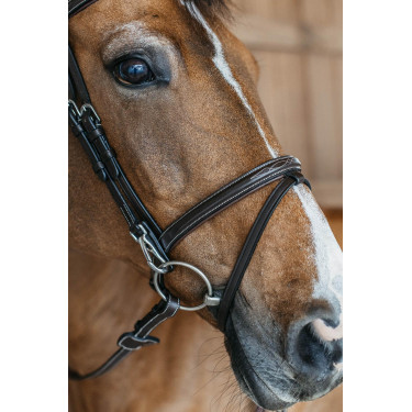 Combinatie Neusriem met Bakstukken en Musketons Working by Dy'on Bruin