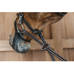 Combinatie Neusriem met Bakstukken en Musketons Working by Dy'on Bruin