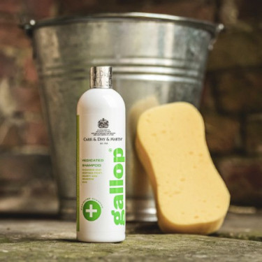 Antibacteriële shampoo Gallop® Carr & Day & Martin Antibacteriële shampoo Gallop® Carr & Day & Martin