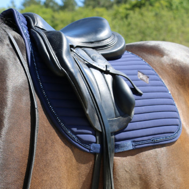 Zadeldek Pearls jumping Kentucky Zadeldek Pearls jumping Kentucky