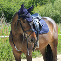 Bonnet Wellington Kentucky Bleu marine