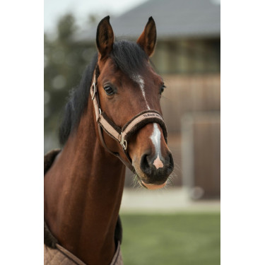 Halster Back on Track Haze Collection Bruin