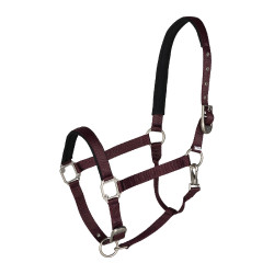 Licol Hardwick B Vertigo Fig Wine Red