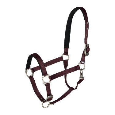 Licol Hardwick B Vertigo Fig Wine Red