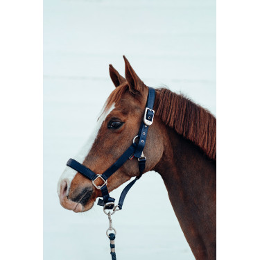 Halster Hardwick B Vertigo Donker marineblauw Halster Hardwick B Vertigo Donker marineblauw