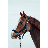 Licol Hardwick B Vertigo Bleu marine foncé Licol Hardwick B Vertigo Bleu marine foncé